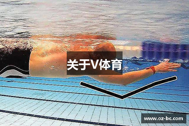 关于V体育